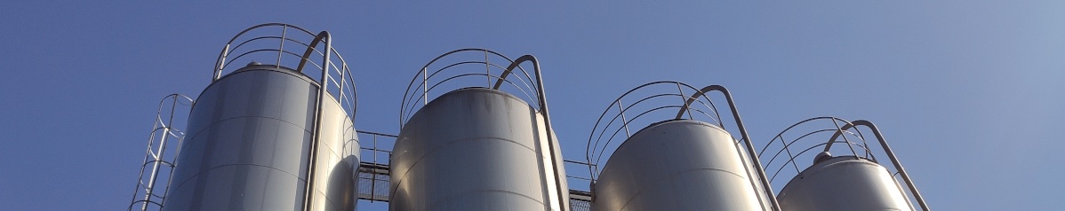 SPECIAL WORKS SRL   Silos